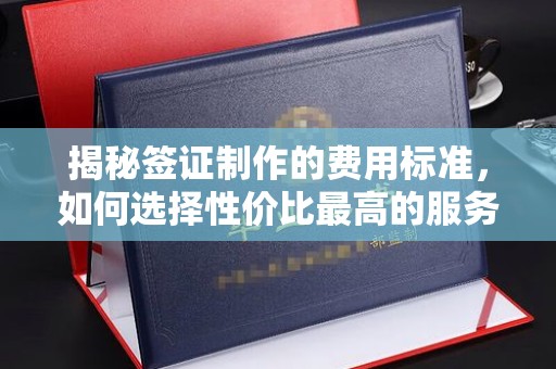 越城揭秘签证制作的费用标准，如何选择性价比最高的服务？
